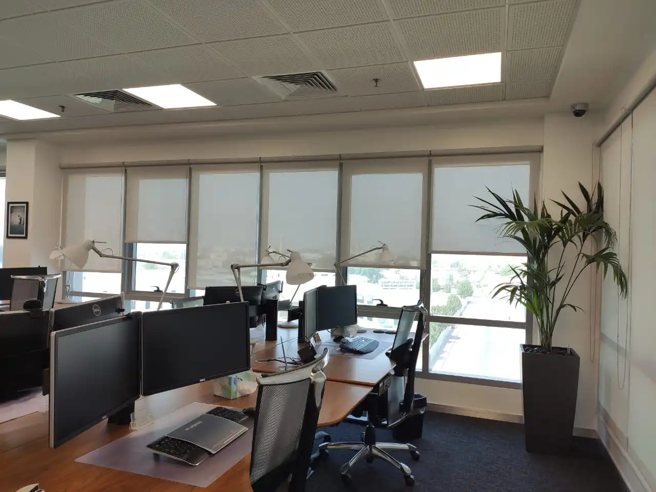 Transform Your Space with Sunscreen Roller Blinds: A Blend of Style and Sun Protection